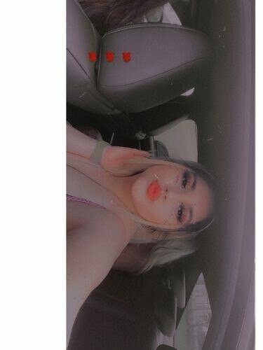 cat1127 Profile image 3